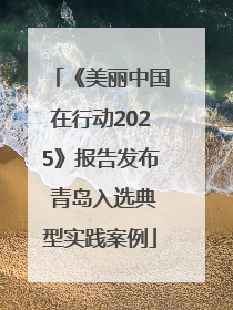 《美丽中国在行动2025》报告发布 青岛入选典型实践案例
