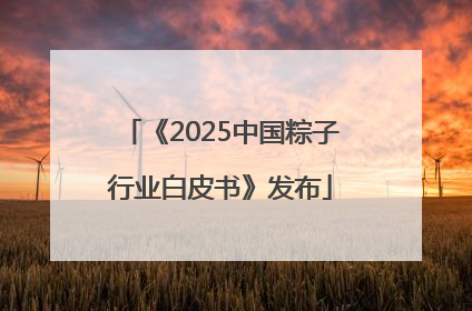《2025中国粽子行业白皮书》发布
