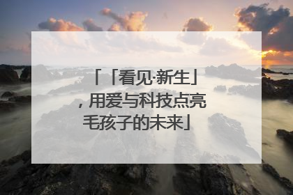 「看见·新生」，用爱与科技点亮毛孩子的未来