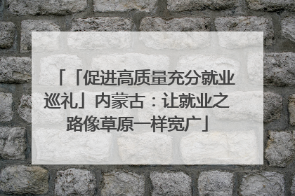 「促进高质量充分就业巡礼」内蒙古：让就业之路像草原一样宽广