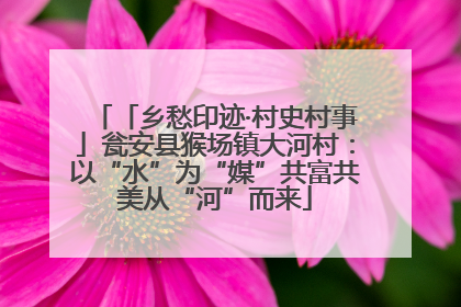 「乡愁印迹·村史村事」瓮安县猴场镇大河村：以“水”为“媒”共富共美从“河”而来