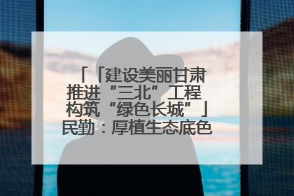 「建设美丽甘肃 推进“三北”工程 构筑“绿色长城”」民勤：厚植生态底色 筑牢绿色屏障