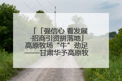 「强信心 看发展·招商引资拼落地」高原牧场“牛”劲足——甘肃华予高原牧场高标准奶牛肉牛养殖项目一线见闻
