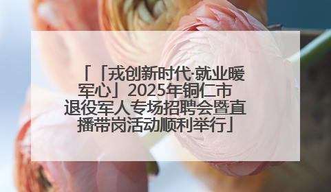 「戎创新时代·就业暖军心」2025年铜仁市退役军人专场招聘会暨直播带岗活动顺利举行