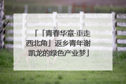 「青春华章·重走西北角」返乡青年谢凯龙的绿色产业梦