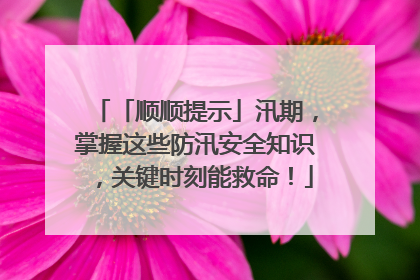 「顺顺提示」汛期，掌握这些防汛安全知识，关键时刻能救命！