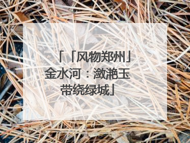 「风物郑州」金水河：潋滟玉带绕绿城