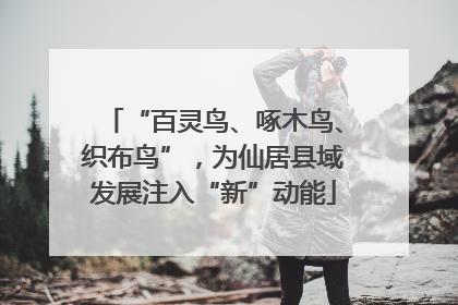 “百灵鸟、啄木鸟、织布鸟”，为仙居县域发展注入“新”动能