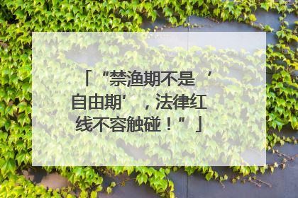 “禁渔期不是‘自由期’，法律红线不容触碰！”