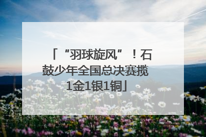 “羽球旋风”！石鼓少年全国总决赛揽1金1银1铜