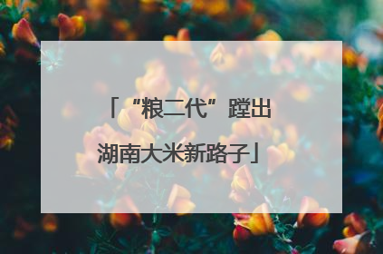 “粮二代”蹚出湖南大米新路子