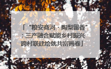 “粮安商河・陶梨留香”：三产融合赋能乡村振兴 跨村联建绘就共富画卷