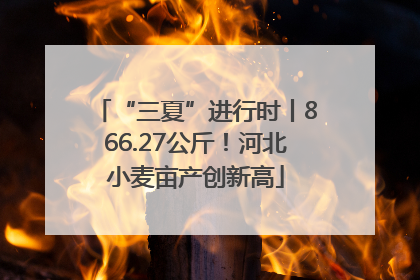 “三夏”进行时丨866.27公斤！河北小麦亩产创新高