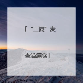 “三夏”麦香溢满仓