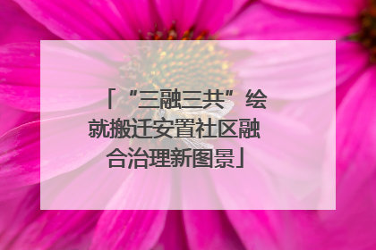 “三融三共”绘就搬迁安置社区融合治理新图景