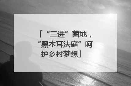 “三进”菌地，“黑木耳法庭”呵护乡村梦想