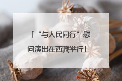 “与人民同行”慰问演出在西藏举行