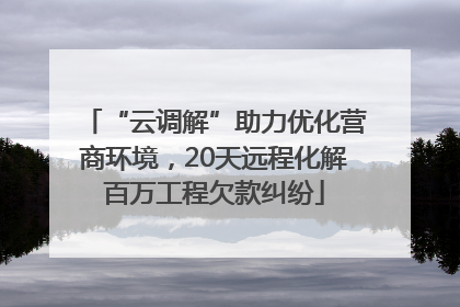 “云调解”助力优化营商环境，20天远程化解百万工程欠款纠纷