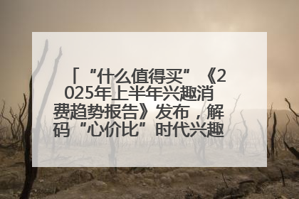“什么值得买”《2025年上半年兴趣消费趋势报告》发布，解码“心价比”时代兴趣消费新范式