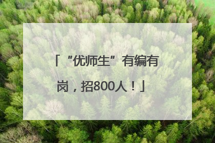 “优师生”有编有岗，招800人！