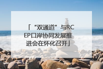 “双通道”与RCEP口岸协同发展推进会在怀化召开