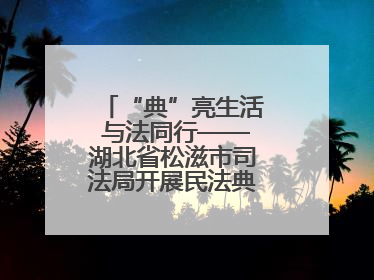 “典”亮生活 与法同行——湖北省松滋市司法局开展民法典宣传系列活动