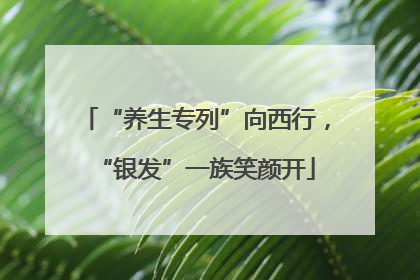 “养生专列”向西行，“银发”一族笑颜开