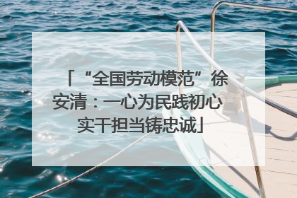“全国劳动模范”徐安清：一心为民践初心 实干担当铸忠诚