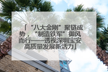 “八大金刚”聚链成势，“制造铁军”御风而行——透视深圳宝安高质量发展新活力
