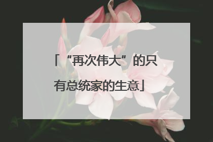 “再次伟大”的只有总统家的生意