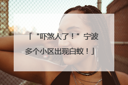 “吓煞人了！”宁波多个小区出现白蚁！