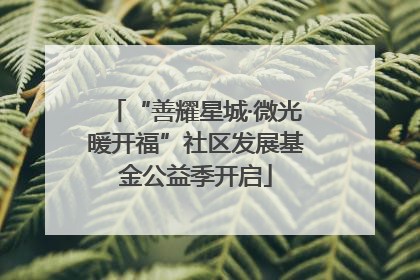“善耀星城·微光暖开福”社区发展基金公益季开启
