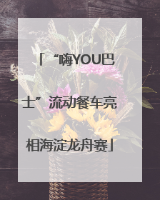 “嗨YOU巴士”流动餐车亮相海淀龙舟赛