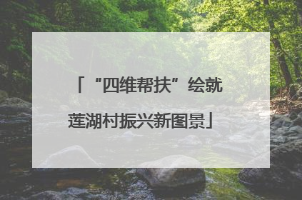 “四维帮扶”绘就莲湖村振兴新图景