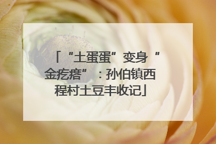 “土蛋蛋”变身“金疙瘩”：孙伯镇西程村土豆丰收记