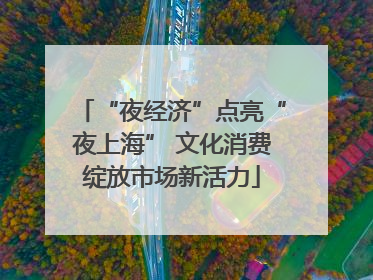 “夜经济”点亮“夜上海” 文化消费绽放市场新活力