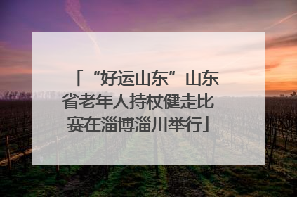 “好运山东”山东省老年人持杖健走比赛在淄博淄川举行