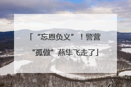 “忘恩负义”！警营“孤傲”燕隼飞走了