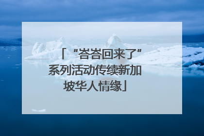 “峇峇回来了”系列活动传续新加坡华人情缘