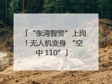 “张湾智警”上岗！无人机变身 “空中 110”