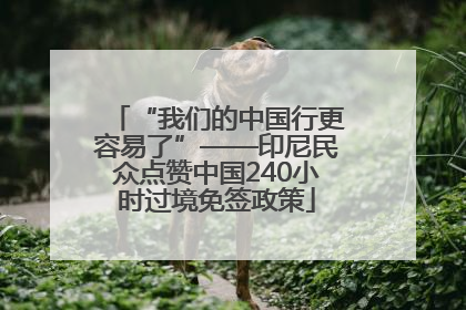 “我们的中国行更容易了”——印尼民众点赞中国240小时过境免签政策