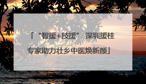 “智援+技援” 深圳援桂专家助力壮乡中医焕新颜