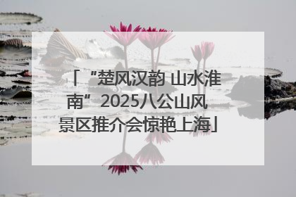 “楚风汉韵 山水淮南”2025八公山风景区推介会惊艳上海