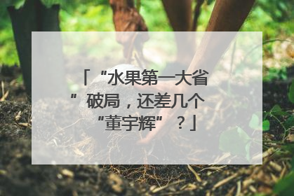 “水果第一大省”破局，还差几个“董宇辉”？