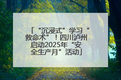 “沉浸式”学习“救命术”！四川泸州启动2025年“安全生产月”活动