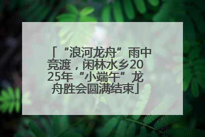 “浪河龙舟”雨中竞渡，闲林水乡2025年“小端午”龙舟胜会圆满结束