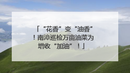 “花香”变“油香”！南漳巡检万亩油菜为增收“加油”！