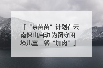 “茶苗苗”计划在云南保山启动 为留守困境儿童三餐“加肉”