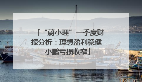 “蔚小理”一季度财报分析：理想盈利稳健 小鹏亏损收窄