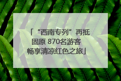 “西南专列”再抵固原 870名游客畅享清凉红色之旅